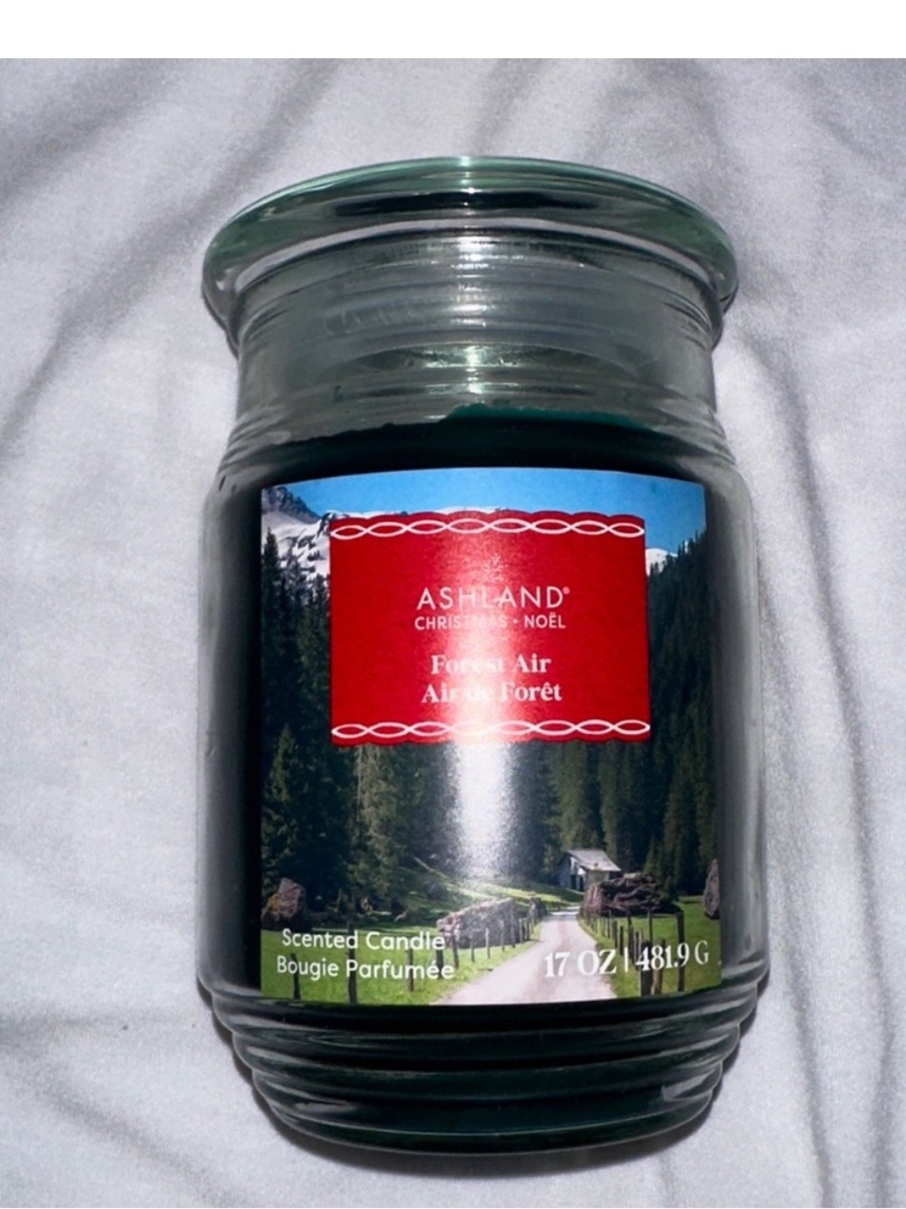 Ashland Forest Air Jar Candle - 17oz